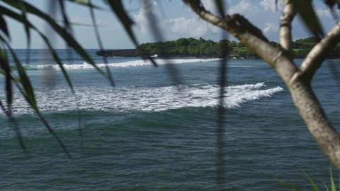 Surfers Stock Footage 99326446