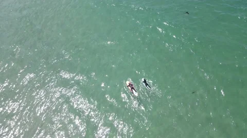 Surfers Stock Footage 166249576