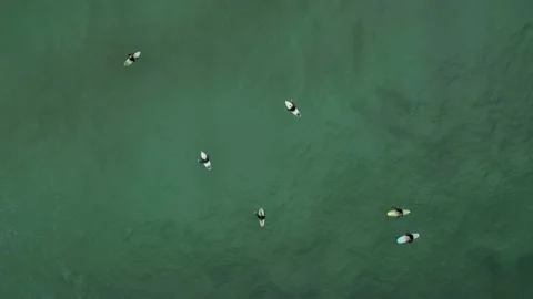 Surfers Video stock 195437200