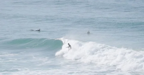 Surfers Stock Footage 197738072