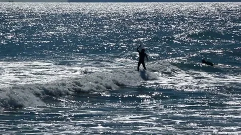 Surfers Stock Footage 205364183