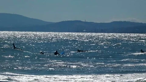 Surfers Stock Footage 205364257