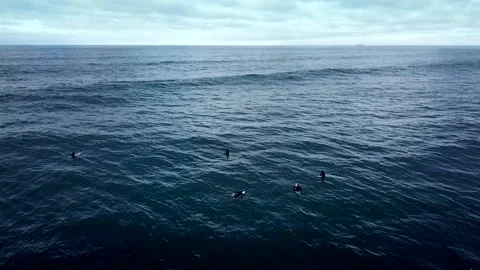 Surfers Video stock 212131441