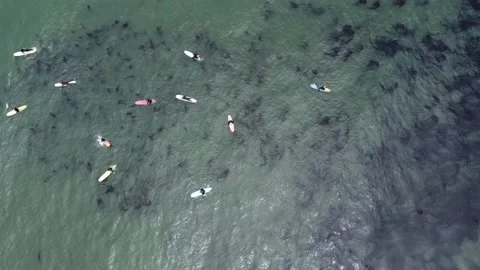 Surfers Stock Footage 225111377