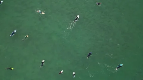 Surfers Stock Footage 243730071