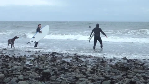 Surfers in Full Wetsuits Walk into Waves Stock Footage 232051632