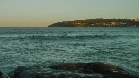 Surfers gather for big waves in Manly Sydney before sunset slow motion dol Stock Footage 246022441