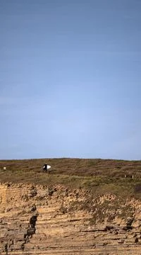 Surfers head down cliff path to beach Stock Photos