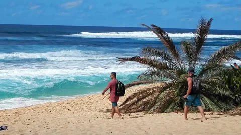 Surfers headed to Turtle Beach, North Shore, Oahu 스톡 동영상 169886589