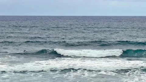 Surfers joyfully ride the calming waves of the ocean under a bright sky Stock Footage 315420879