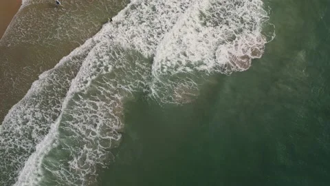 Surfers leaving beach Video stock 231558030