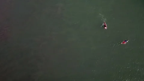 Surfers lie on the boards Video stock 138732001