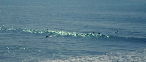 Surfers on Makaha Beach Stock Footage 223396188