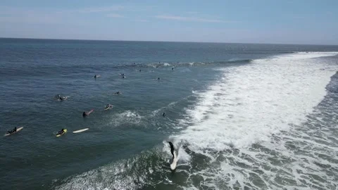 Surfers Malibu Stock Footage 166524149