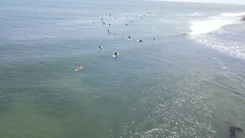 Surfers Malibu Video stock 166524313