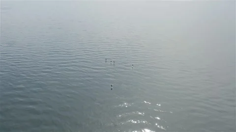 Surfers on the mirror surface of the sea Video stock 134748054