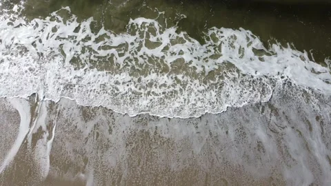 Surfers in the Ocean - 1 動画素材 231564804