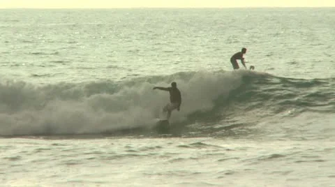 Surfers In The Ocean 動画素材 19146865