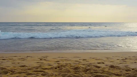 Surfers in the ocean Stock Footage 81839634
