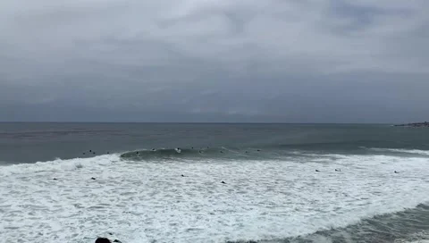 Surfers in the ocean Stock Footage 236259509