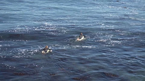 Surfers on the ocean Vídeos de archivo 312971814
