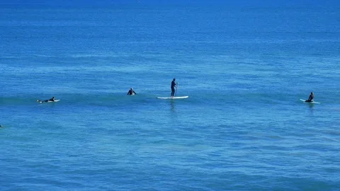 Surfers in the ocean waiting for waves Stock Footage 110841743