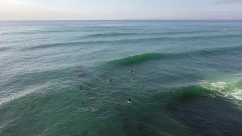 Surfers paddling Stock Footage 150724509