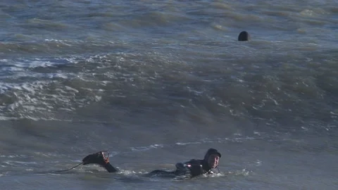Surfers paddling out Stock Footage 238031593