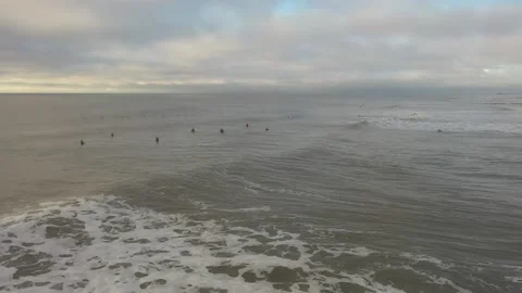 Surfers &amp; Pelicans 스톡 동영상 146210848