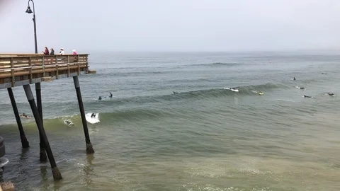 Surfers at pier Stock Footage 113848677