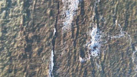 Surfers ride waves while sunlight reflects on water Video stock 304013878