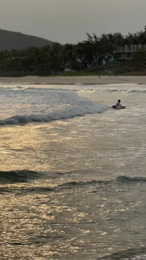 Surfers riding small waves along a golden sunset shore. Vídeo Stock 342963987