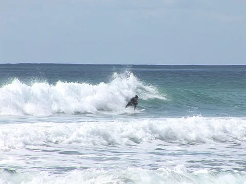 Surfers riding a wave Stock Footage 93338948