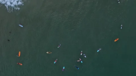 Surfers riding waves at dawn in a vibrant coastal scene with diverse boards Stock Footage 290374141