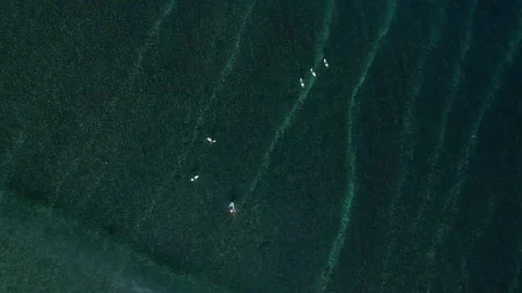 Surfers in the sea.View from a drone Stock Footage 319971052
