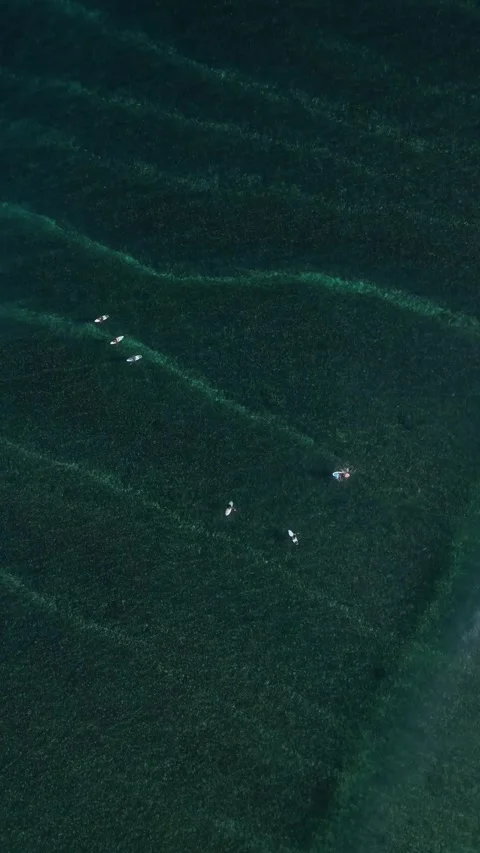 Surfers in the sea.View from a drone Stock Footage 321049816