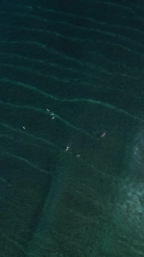Surfers in the sea.View from a drone Stock Footage 321050421