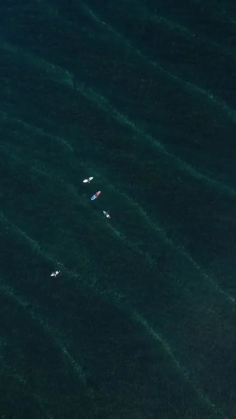 Surfers in the sea.View from a drone Stock Footage 321050516