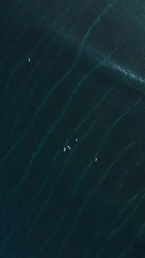 Surfers in the sea.View from a drone Stock Footage 321050552