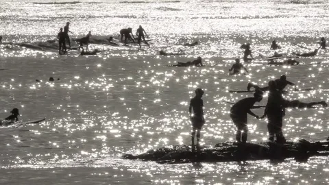 Surfers silhouetted with foreground people Stock Footage 71206053
