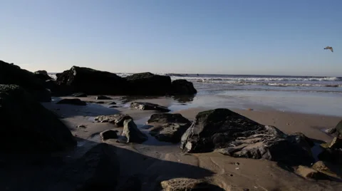 Surfers at sunrise Stock Footage 40006879