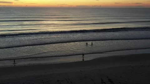 Surfers at sunrise Stock Footage 114199009
