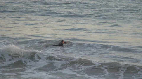Surfers at sunset on the beautiful Mesa Beach Stock Footage 62432999