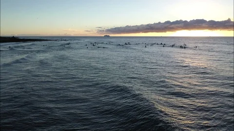 Surfers at the sunset Video stock 101186673