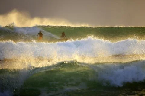 Surfers on sunset Foto stock