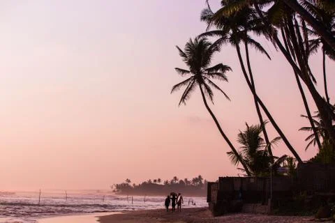 Surfers on sunset Stock Photos