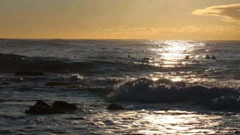 Surfers on surf boards floating on waves at Bronte beach at sunrise – 4k. Stock Footage 137395224