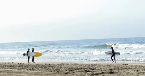 Surfers with the surfboards Stock Footage 101932601