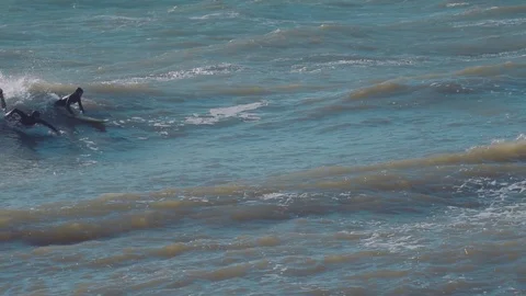Surfers surfing in ocean Stock Footage 98699694
