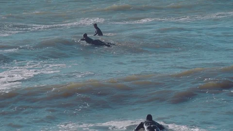 Surfers surfing in ocean Stock Footage 98700155